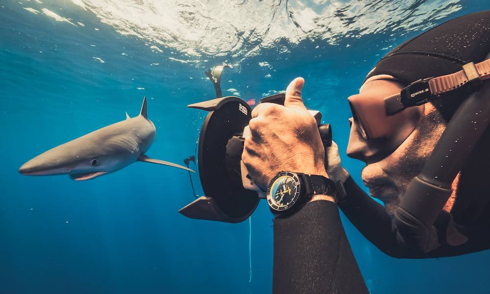 Diver Lemon Shark Ulysse Nardin